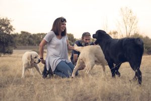 Perroterapia entrena perros de asistencia y perros de terapia asistida