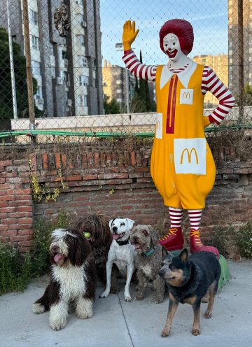 WhatsApp Image 2024-06-02 at 22.11.10