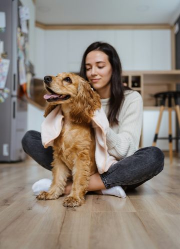 Pleasant photo about taking care and playing with a dog